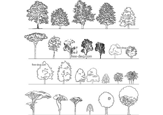 Деревья развертки - бесплатный чертеж