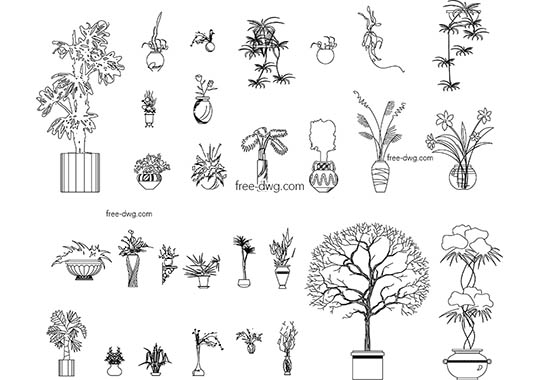 Растения декоративные - файл чертежа в формате DWG.