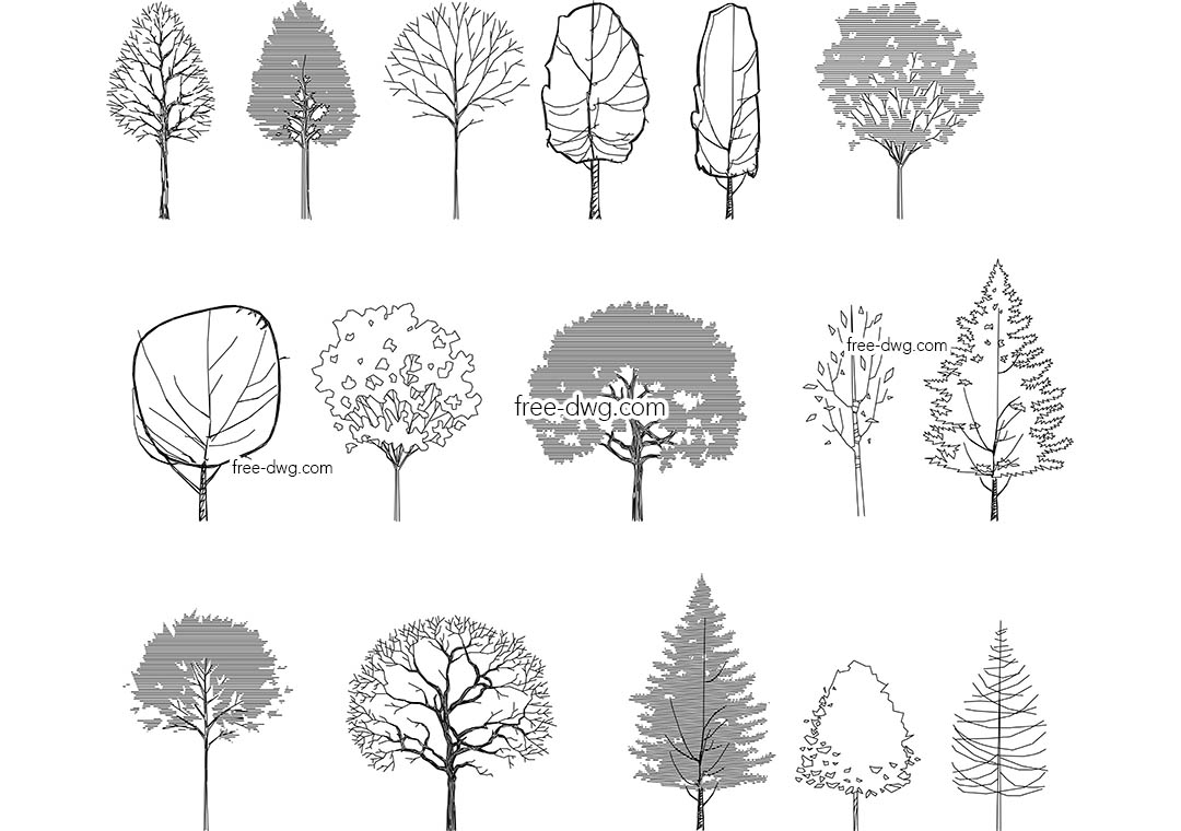 Деревья сбоку - файл чертежа в формате DWG.