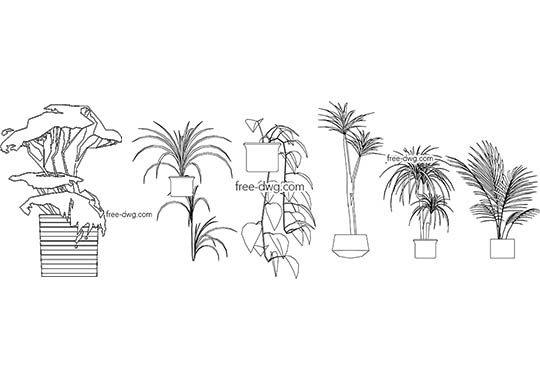 Комнатные растения - файл чертежа в формате DWG.