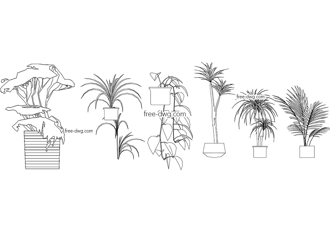 Комнатные растения - файл чертежа в формате DWG.