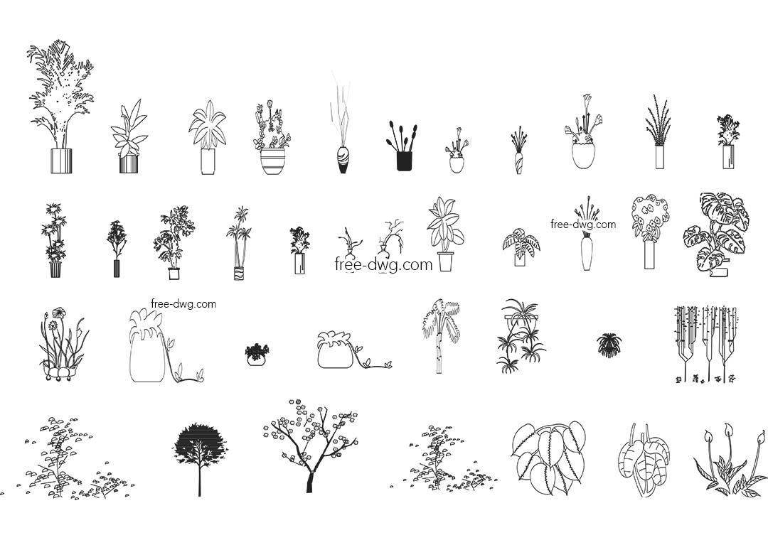 Декоративные растения - файл чертежа в формате DWG.