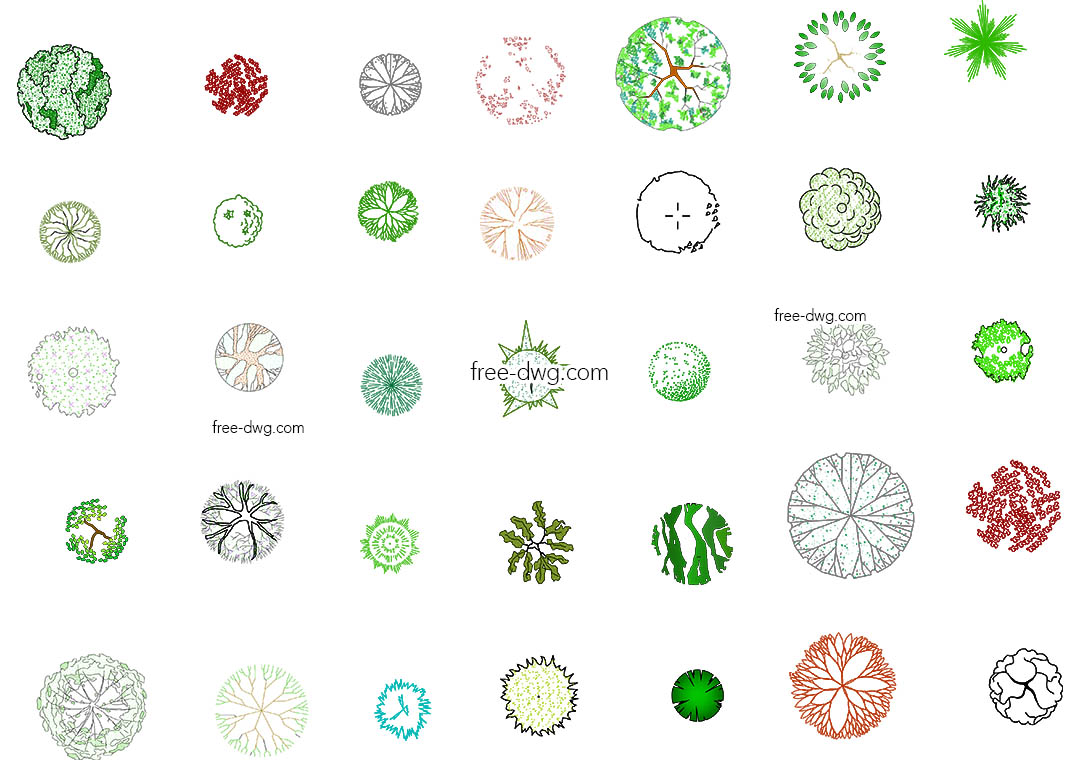 Деревья для генплана в цвете - файл чертежа в формате DWG.